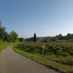Residenza Gli Agrumi Del Garda - Casa de Férias Bardolino