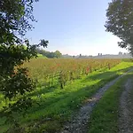 Residenza Gli Agrumi Del Garda - *