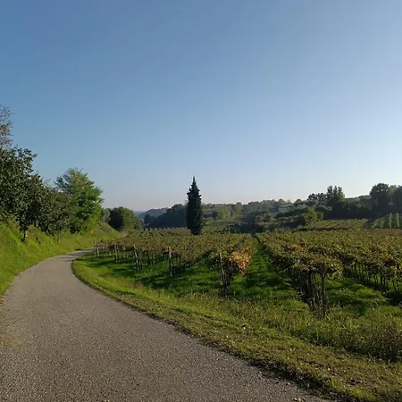 Residenza Gli Agrumi Del Garda - Ferienhaus Bardolino
